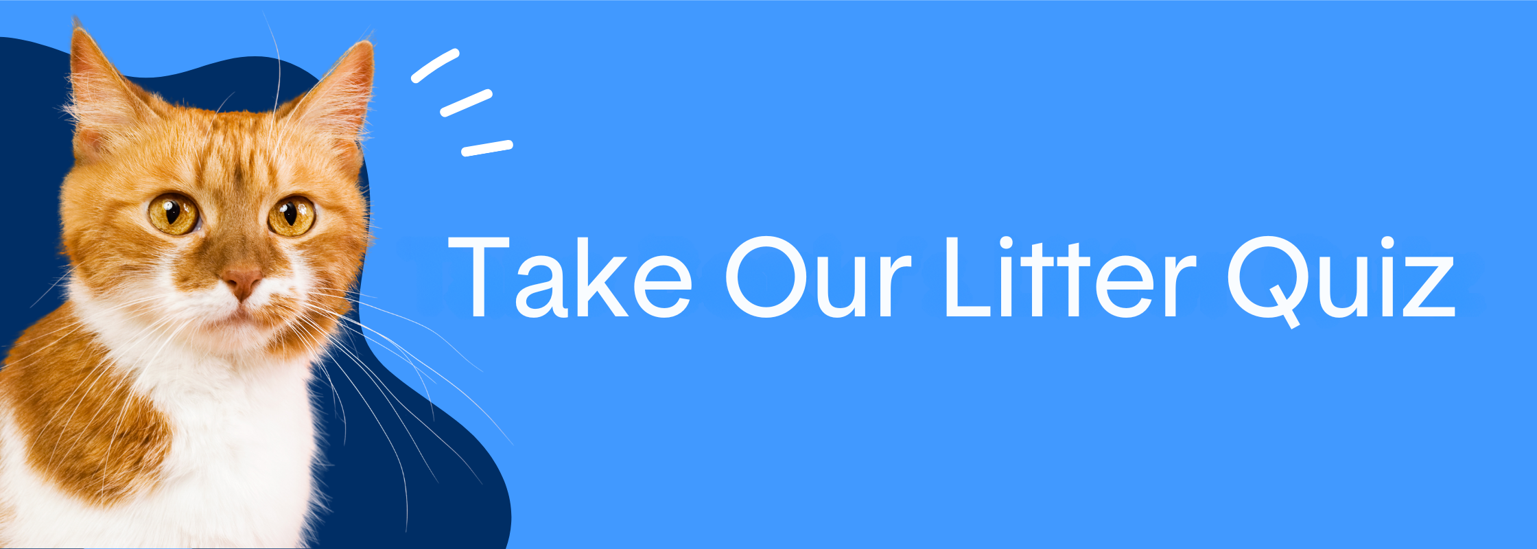 Take_Our_Litter_Quiz.png