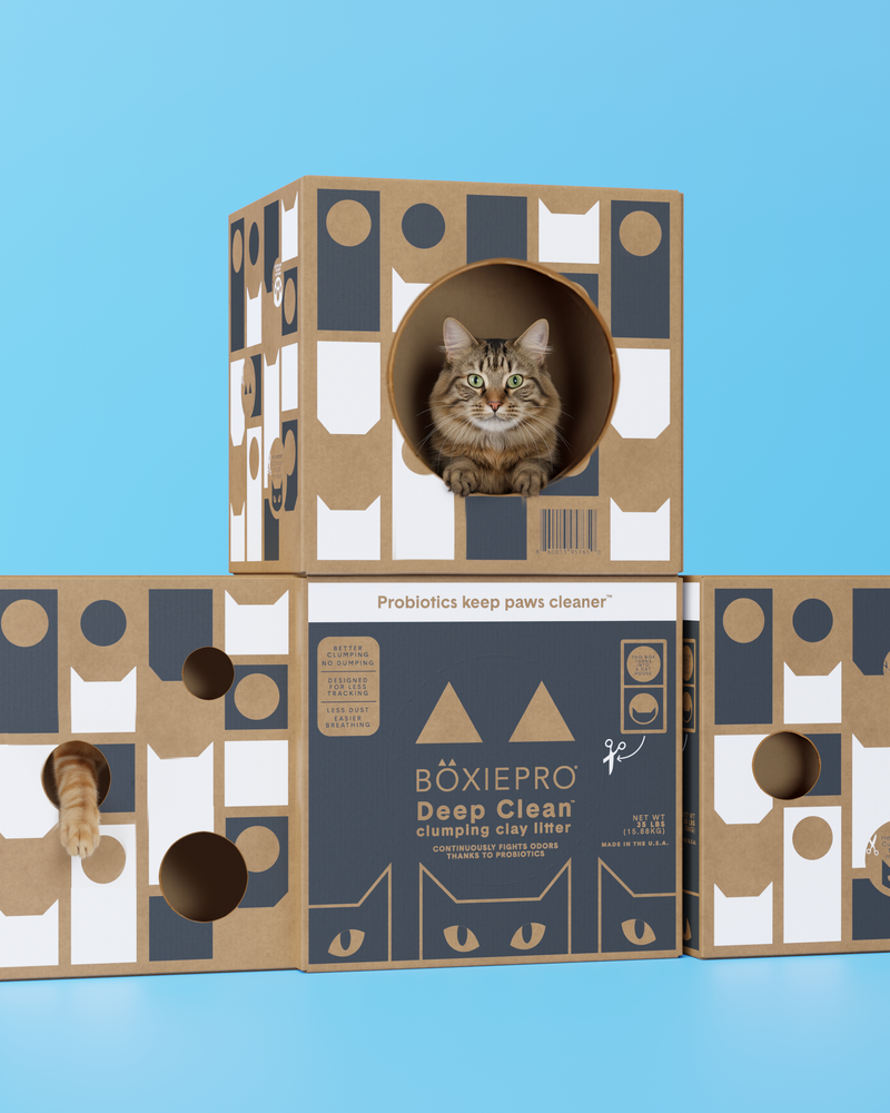 BoxiePro cat house lifestyle