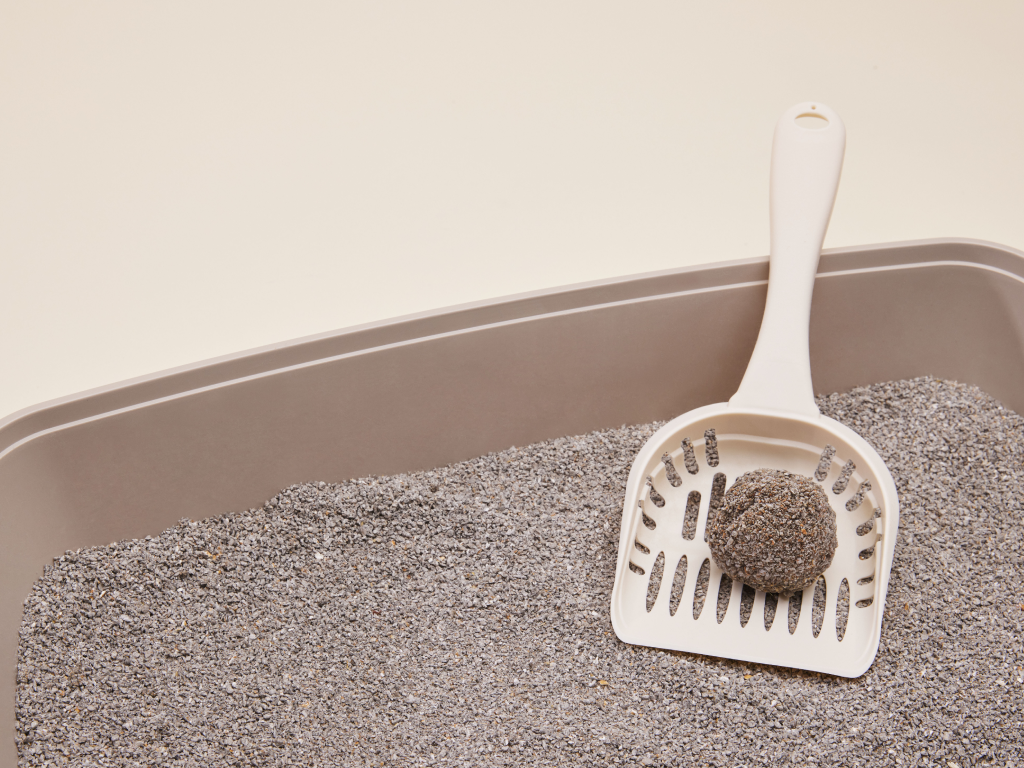 Boxiepro cat litter online