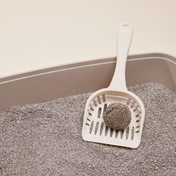 Self-Cleaning Probiotic Lightweight Clumping Litter