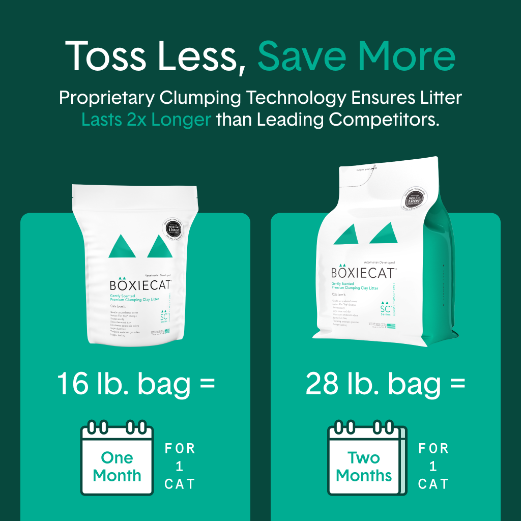 Boxie Gently Scented Clumping Cat Litter - 30-Day Odor Control, 16lb Bag