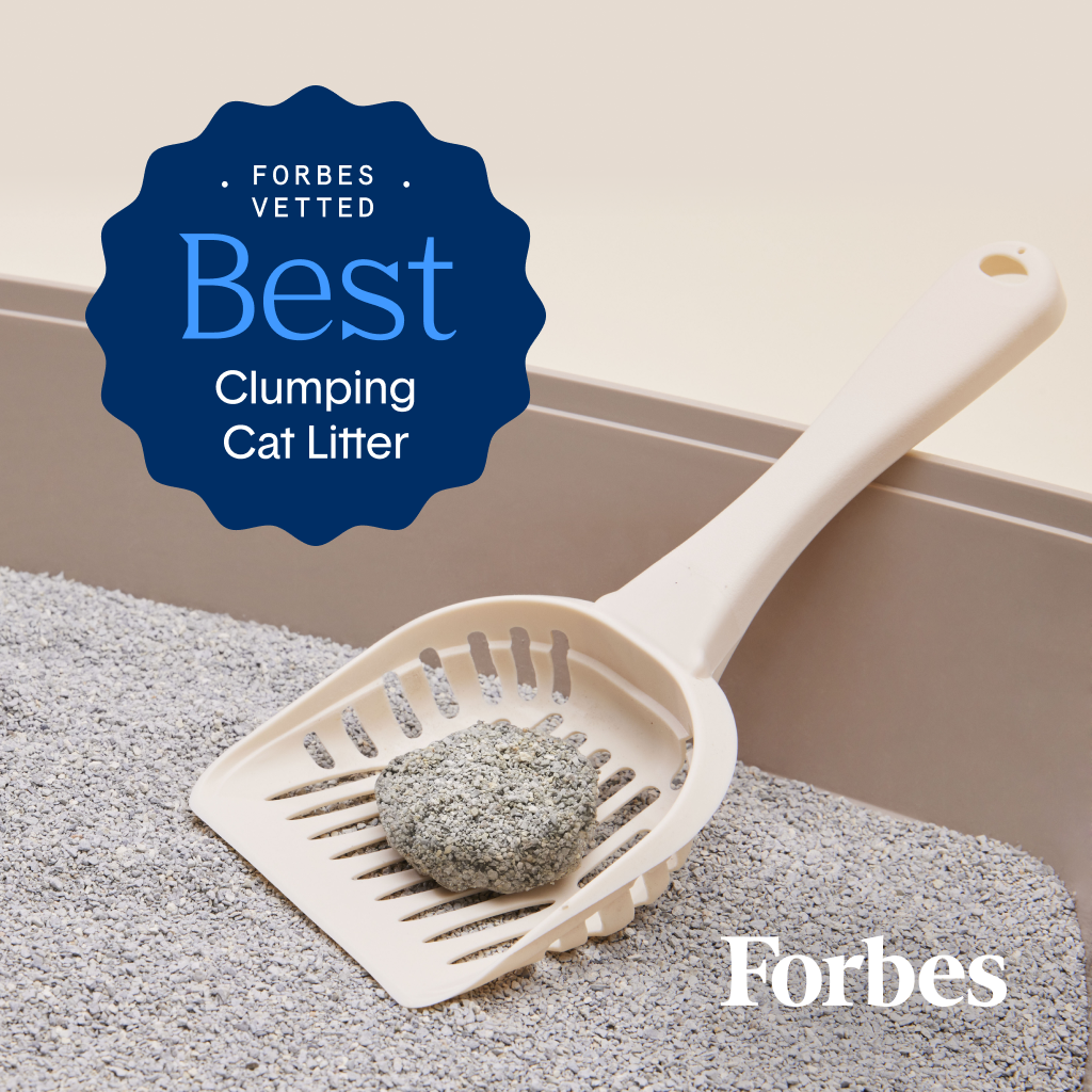 Unscented Natural Clumping Clay Litter