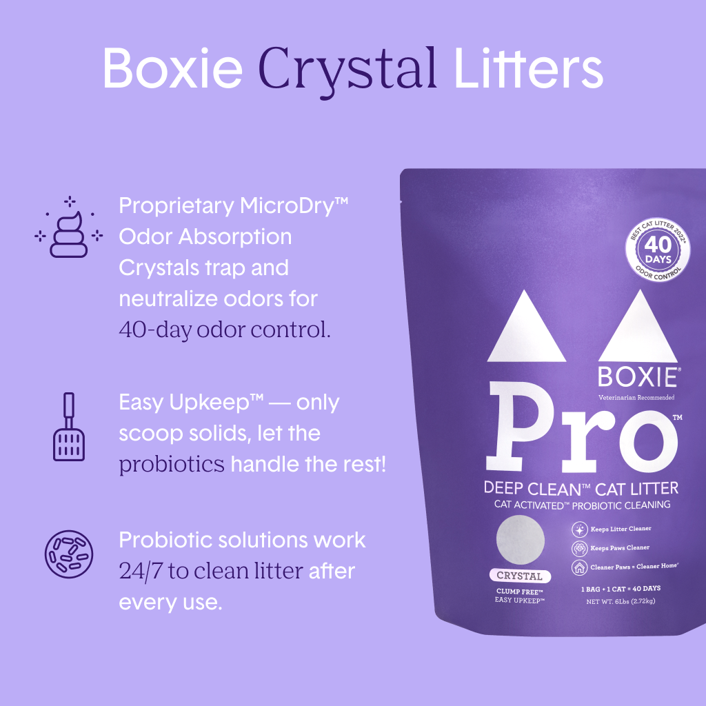 Self-Cleaning Probiotic Crystal Cat Litter – Boxie